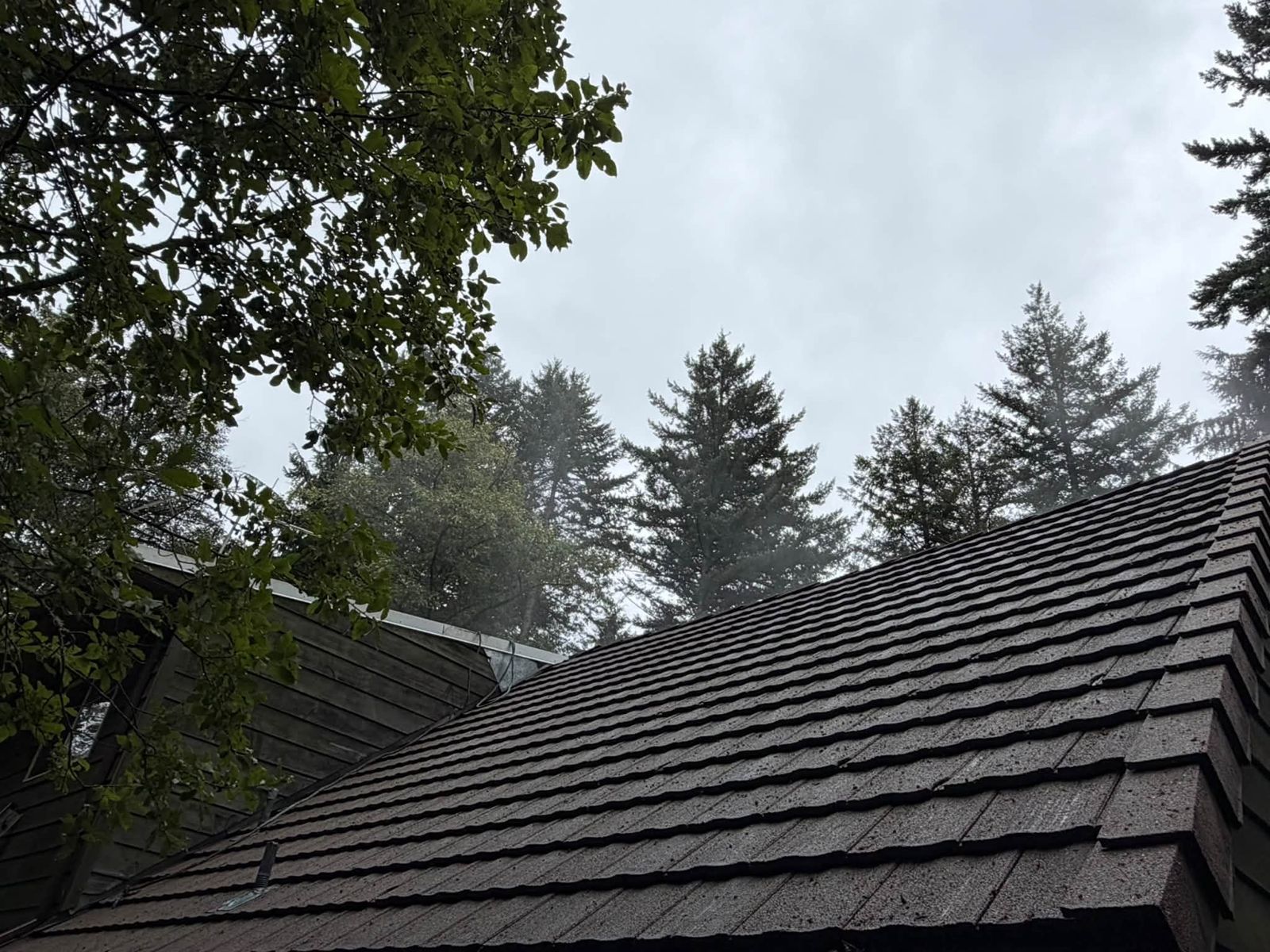 Metal roofing