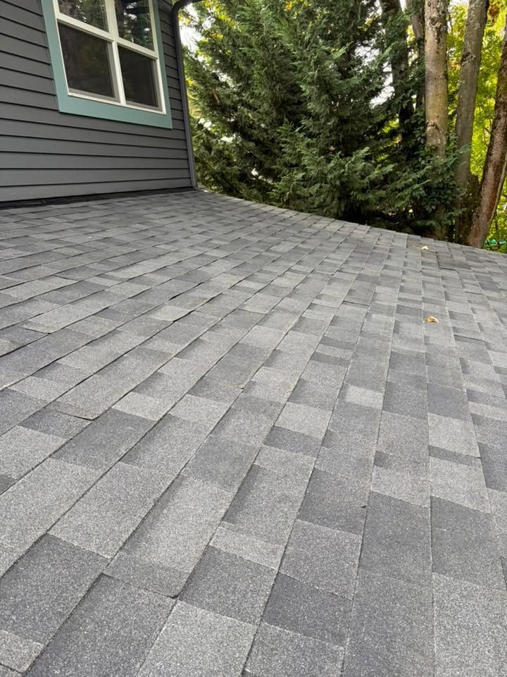 Shingle roof on an addition