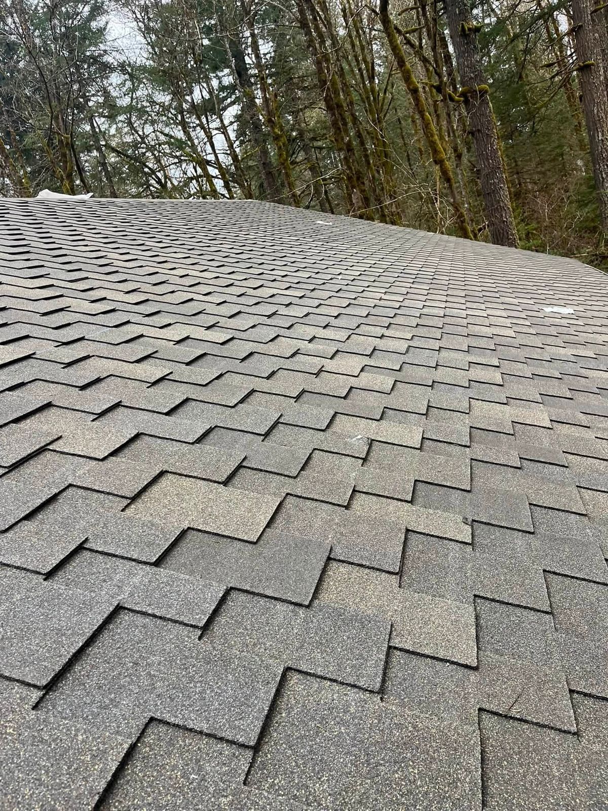 Architectural shingles, up close